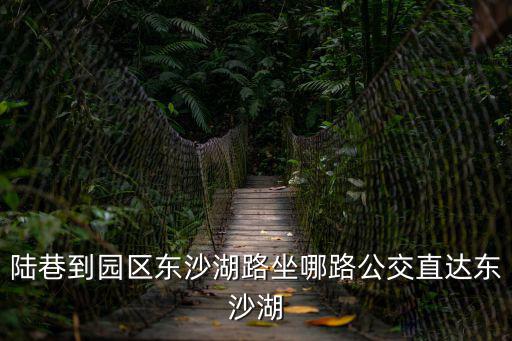 陸巷到園區東沙湖路坐哪路公交直達東沙湖