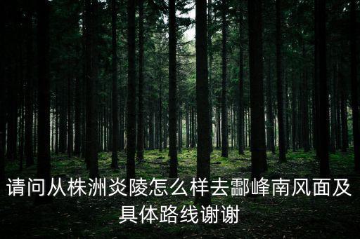 請(qǐng)問(wèn)從株洲炎陵怎么樣去酃峰南風(fēng)面及具體路線謝謝
