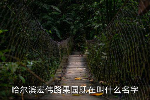 哈爾濱宏偉路果園現在叫什么名字