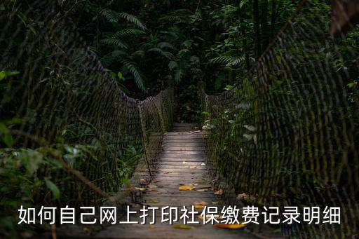 如何自己網上打印社保繳費記錄明細