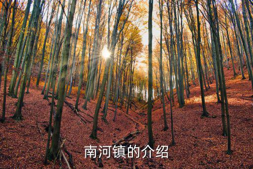 南河鎮(zhèn)的介紹