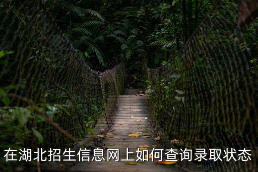 在湖北招生信息網(wǎng)上如何查詢錄取狀態(tài)