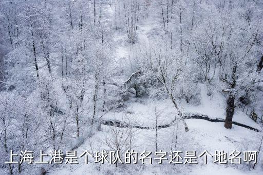 上海上港是個(gè)球隊(duì)的名字還是個(gè)地名啊