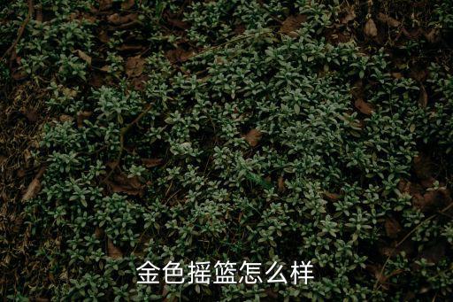 金色搖籃怎么樣