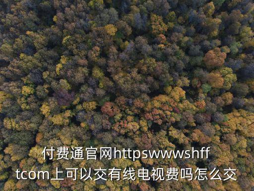 付費通官網httpswwwshfftcom上可以交有線電視費嗎怎么交