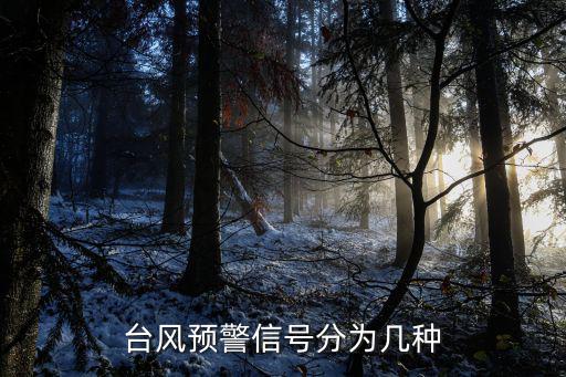 臺風黑色預警信號，臺風預警顏色等級