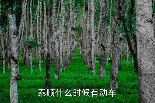 溫州泰順，溫州的泰順怎么樣