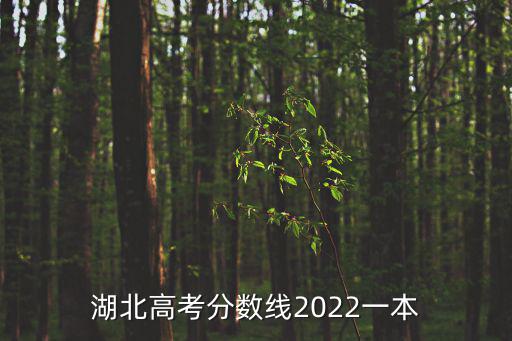 湖北高考分數線2022一本