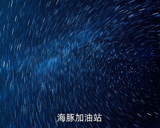 海豚加油站