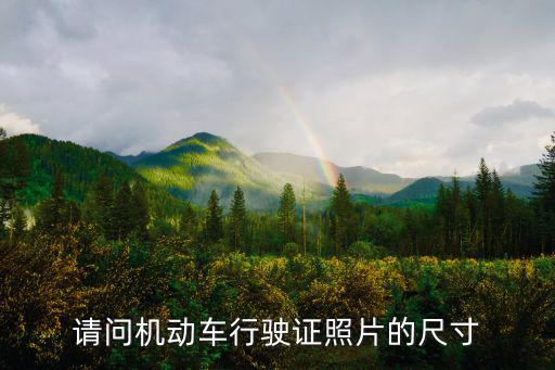 車輛行駛證圖片，行駛證的照片是什么樣子的