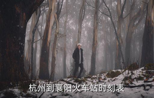 杭州到襄陽火車站時刻表