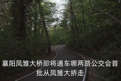 襄陽鳳雛大橋即將通車哪兩路公交會首批從鳳雛大撟走