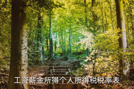 工資薪金個人所得稅稅率表，個人所得稅稅率對照表需要交多少一目了然