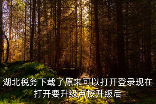 湖北稅務(wù)下載了原來可以打開登錄現(xiàn)在打開要升級(jí)點(diǎn)按升級(jí)后