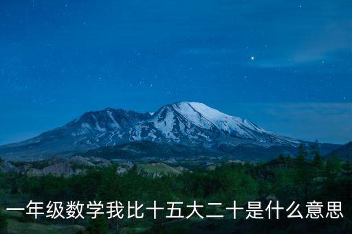 15大，黨的十五大報告第一次正式肯定了