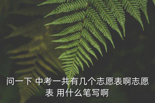問一下 中考一共有幾個志愿表啊志愿表 用什么筆寫啊