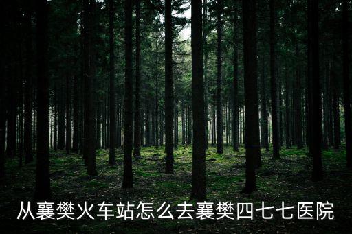 從襄樊火車站怎么去襄樊四七七醫院