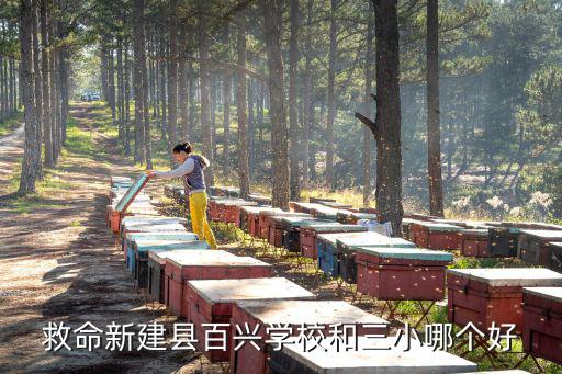 救命新建縣百興學校和三小哪個好