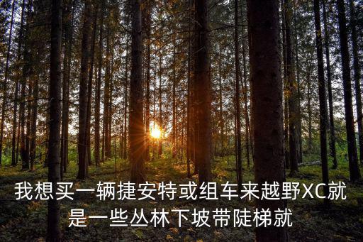 我想買一輛捷安特或組車來越野XC就是一些叢林下坡帶陡梯就
