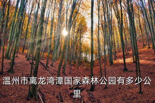 溫州市離龍灣潭國家森林公園有多少公里