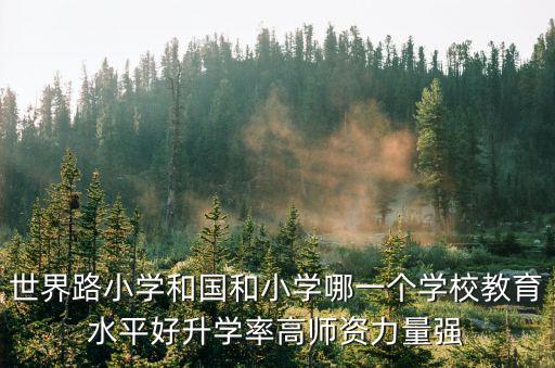 國和小學，錦州國和小學和解放小學哪個好