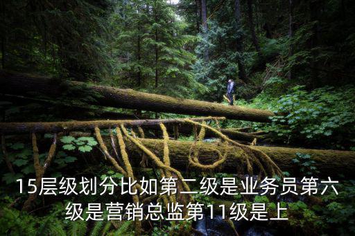 15層級劃分比如第二級是業(yè)務(wù)員第六級是營銷總監(jiān)第11級是上