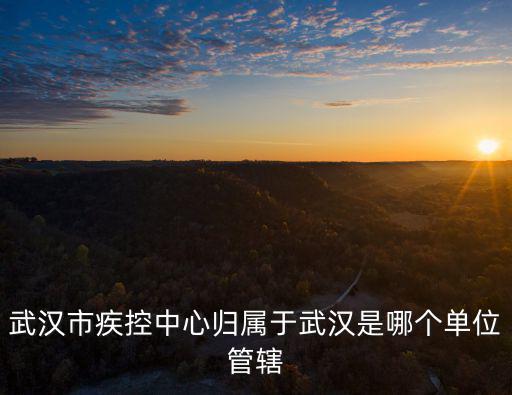 武漢市疾控中心歸屬于武漢是哪個單位管轄