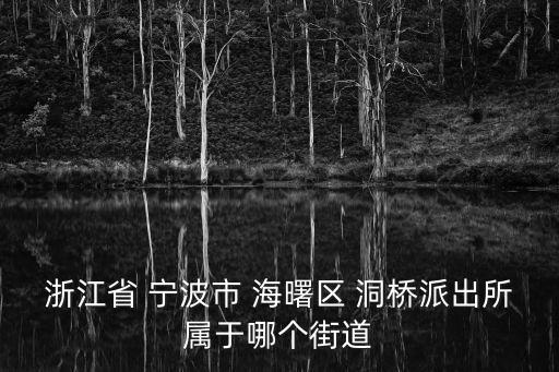 浙江省 寧波市 海曙區(qū) 洞橋派出所屬于哪個街道