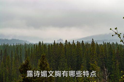 露詩(shī)媚文胸有哪些特點(diǎn)