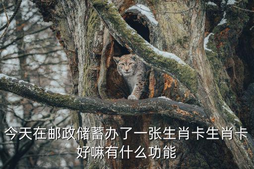 生肖卡，建設(shè)銀行的龍卡之生肖卡屬于什么卡型是信用卡還是借記卡  搜