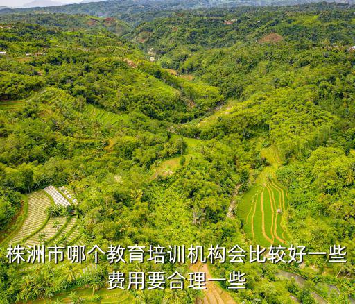 株洲教育，株洲中小學(xué)教育機(jī)構(gòu)有哪些一對(duì)一補(bǔ)習(xí)學(xué)校哪個(gè)好