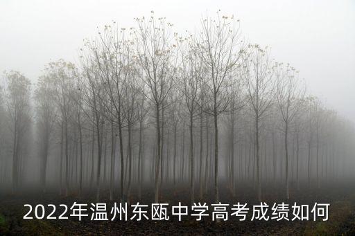 2022年溫州東甌中學高考成績如何