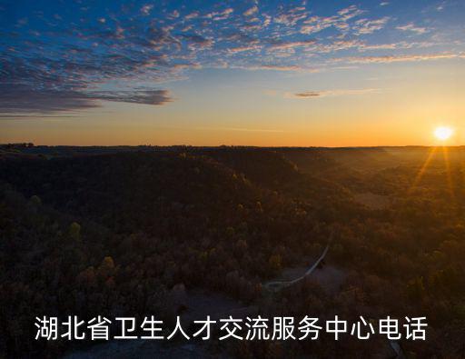 湖北省衛生人才交流服務中心電話