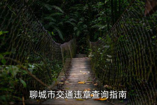聊城市交通違章查詢指南