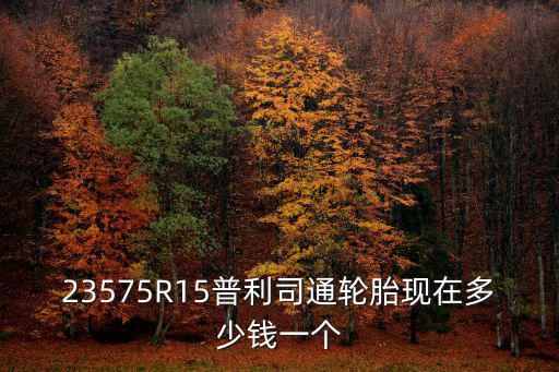 d689，23575R15普利司通輪胎現在多少錢一個