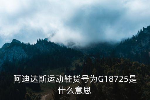 阿迪達(dá)斯運(yùn)動鞋貨號為G18725是什么意思
