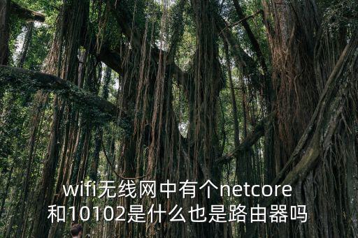 wifi無(wú)線網(wǎng)中有個(gè)netcore和10102是什么也是路由器嗎