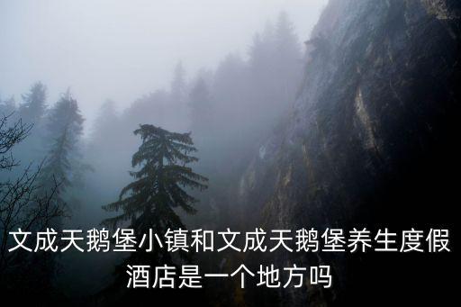 文成天鵝堡小鎮和文成天鵝堡養生度假酒店是一個地方嗎