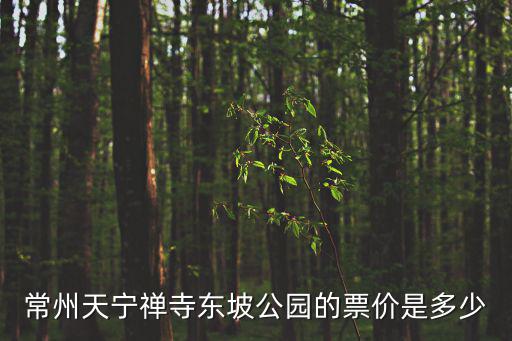 常州天寧禪寺，常州天寧禪寺東坡公園的票價是多少