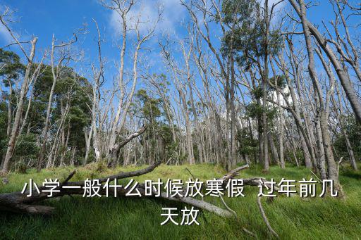 小學(xué)一般什么時候放寒假  過年前幾天放