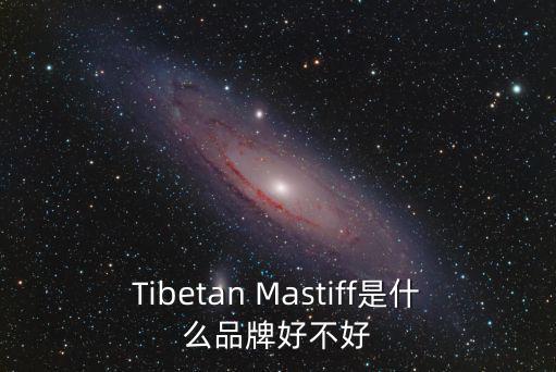 Tibetan Mastiff是什么品牌好不好