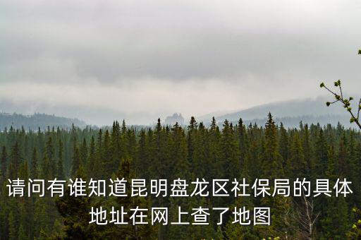 請問有誰知道昆明盤龍區社保局的具體地址在網上查了地圖