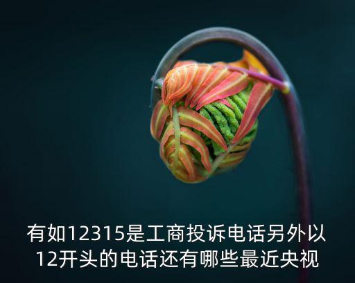 有如12315是工商投訴電話另外以12開頭的電話還有哪些最近央視