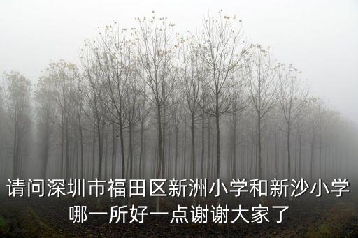 請問深圳市福田區新洲小學和新沙小學哪一所好一點謝謝大家了