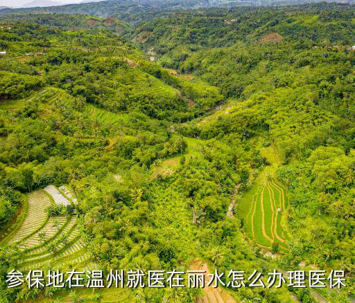 溫州醫保，新溫州人在溫州可以辦醫保嗎