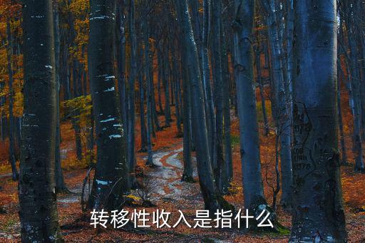 轉移性收入是指什么