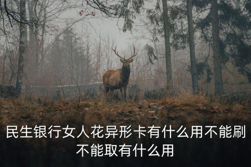 異型卡，廣佛通異形卡地鐵可用嗎