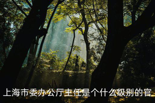 上海市委辦公廳主任是個什么級別的官