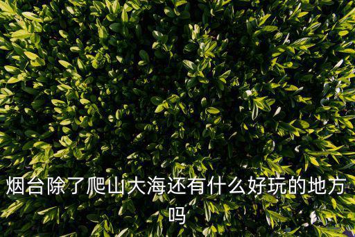 煙臺除了爬山大海還有什么好玩的地方嗎