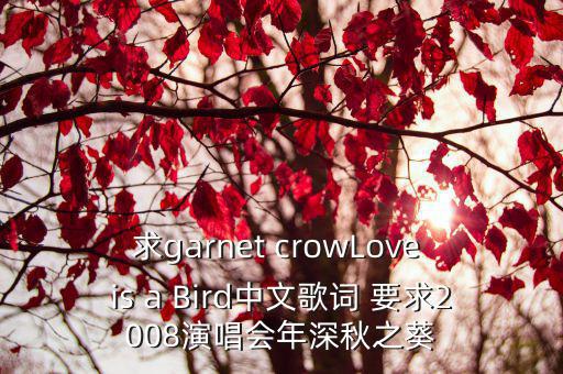 求garnet crowLove is a Bird中文歌詞 要求2008演唱會年深秋之葵